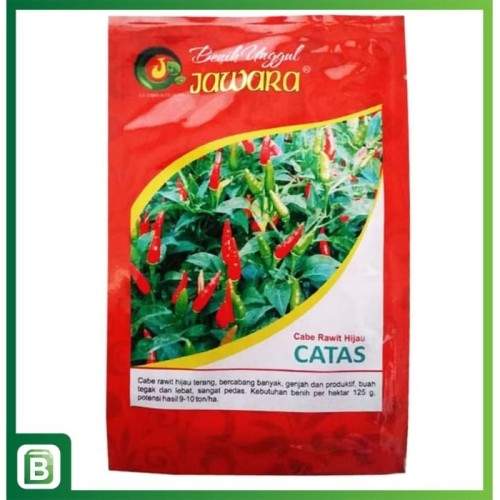 Detail Gambar Lombok Cabe Nomer 41