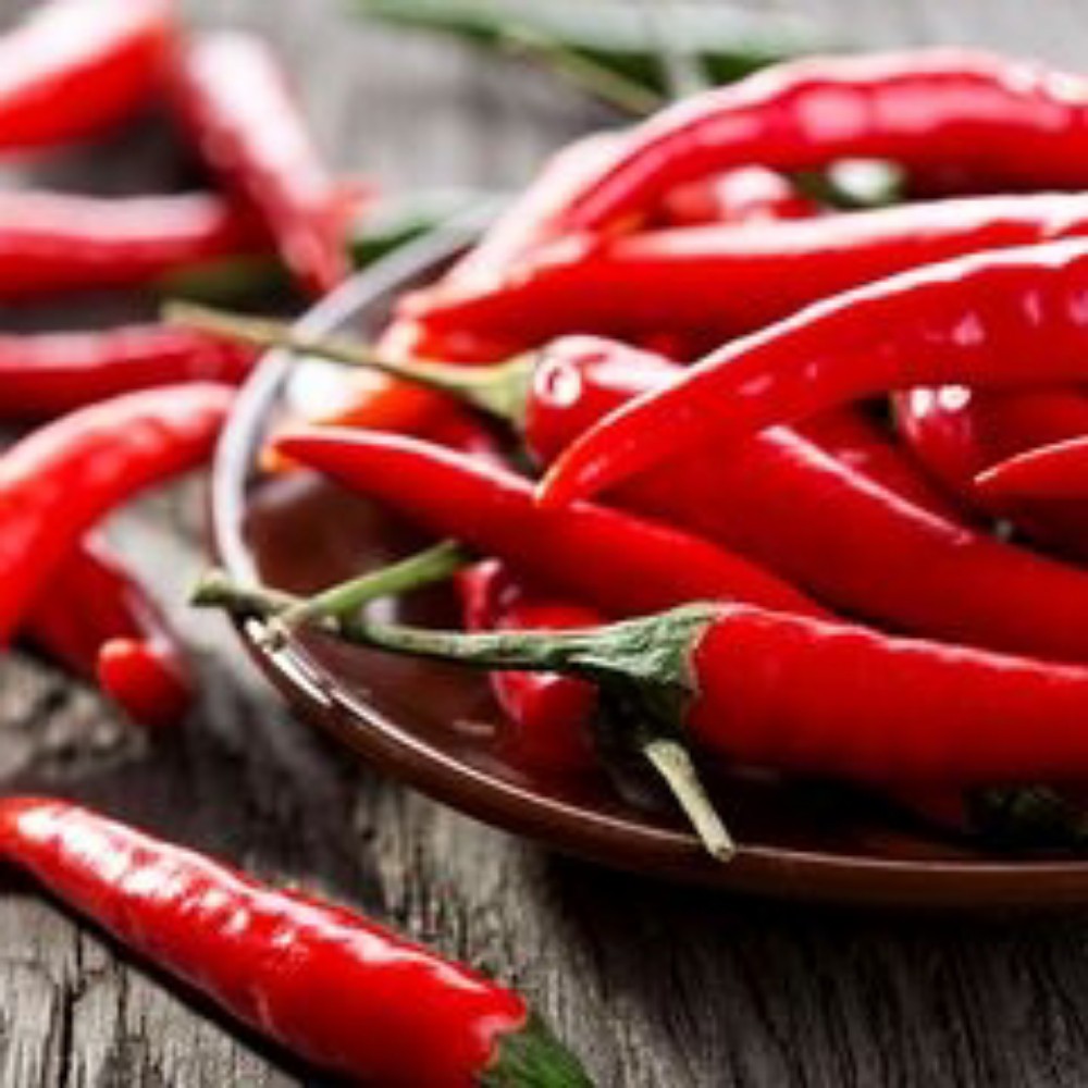 Detail Gambar Lombok Cabe Nomer 42