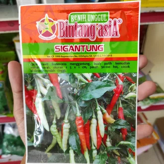 Detail Gambar Lombok Cabe Nomer 48