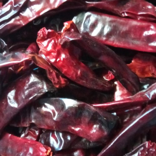 Detail Gambar Lombok Cabe Nomer 54