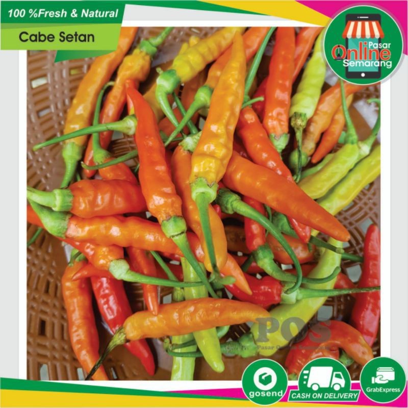 Detail Gambar Lombok Cabe Nomer 56