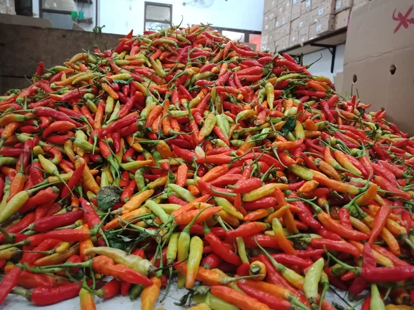 Detail Gambar Lombok Cabe Nomer 57