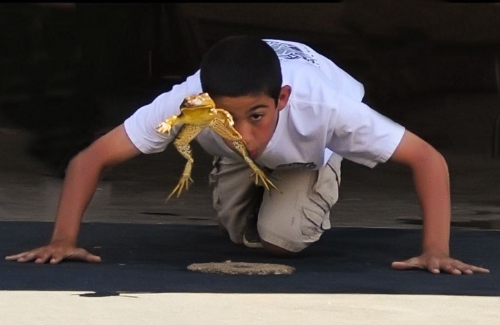 Detail Gambar Lompat Katak Nomer 52