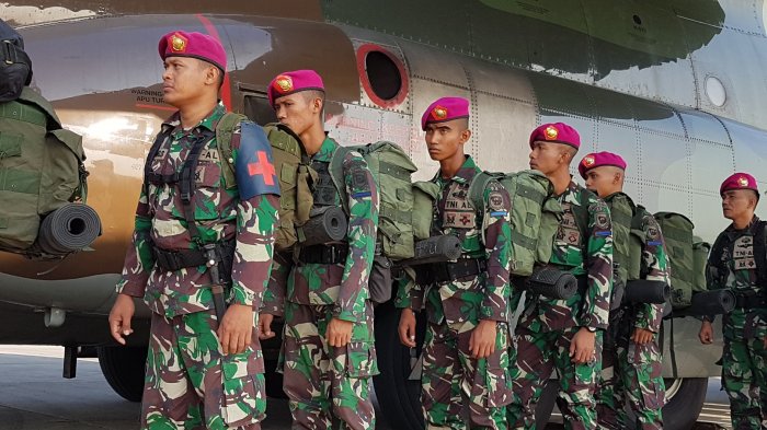 Detail Gambar Loreng Tentara Nomer 43