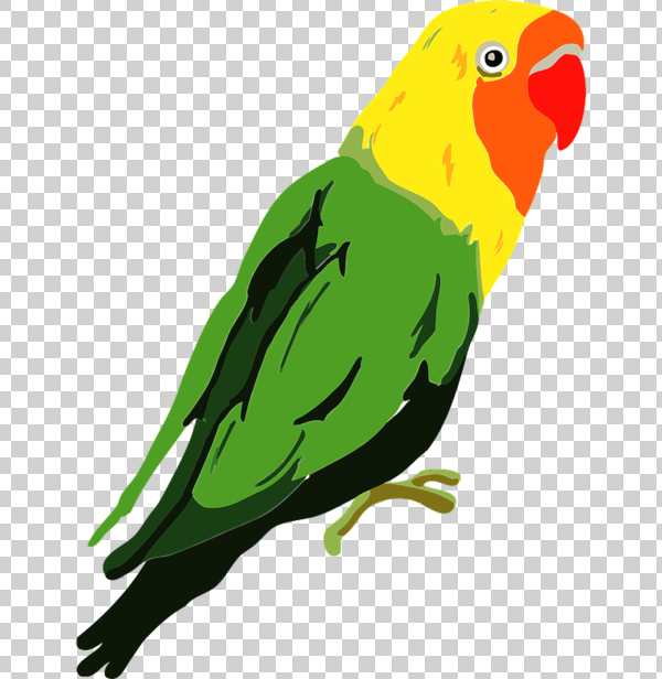 Detail Gambar Lovebird Animasi Nomer 43