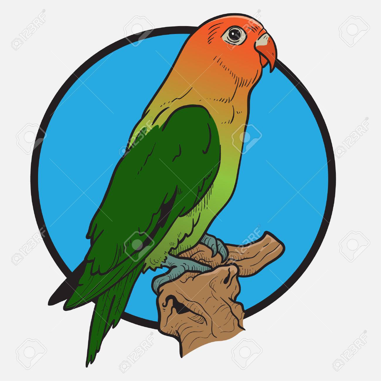 Detail Gambar Lovebird Animasi Nomer 6