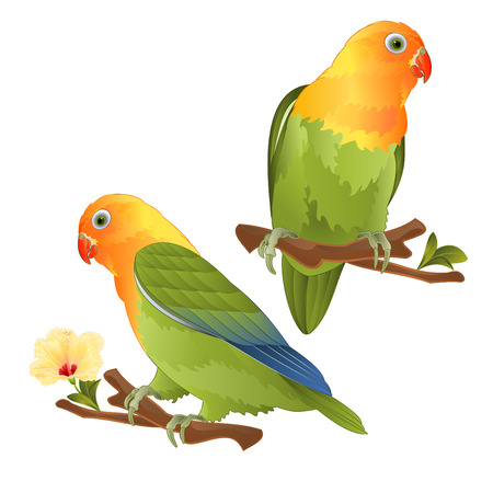 Detail Gambar Lovebird Karikatur Nomer 50