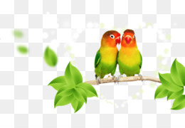 Detail Gambar Lovebird Png Nomer 27