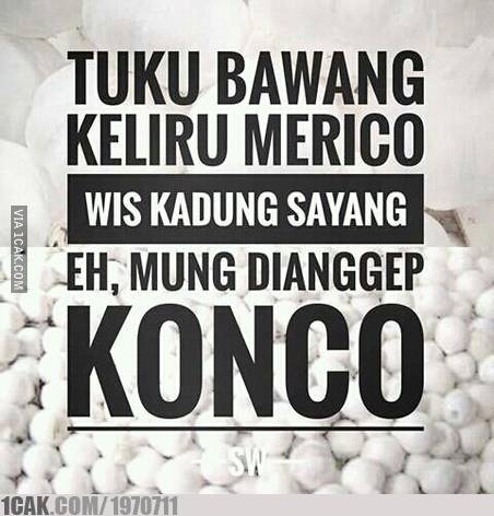Detail Gambar Lucu 2017 Gambar Lucu Jowo Nomer 53