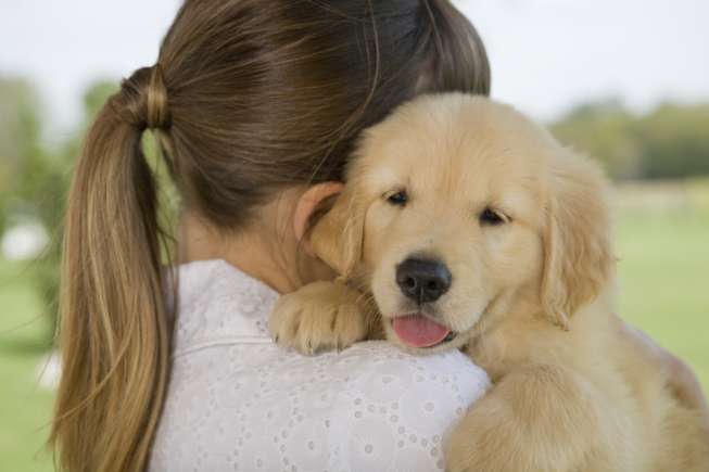 Detail Gambar Lucu Anak Anjing Nomer 17