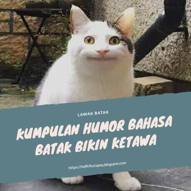 Detail Gambar Lucu Bahasa Batak Nomer 25