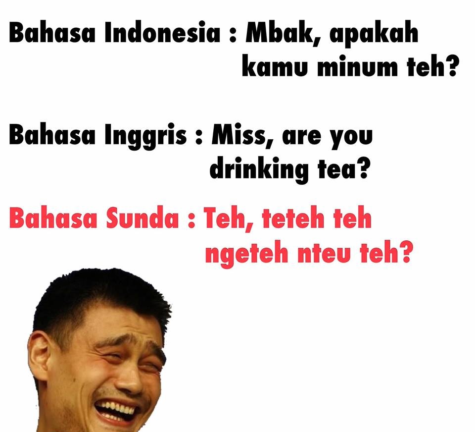 Detail Gambar Lucu Bahasa Indonesia Nomer 45