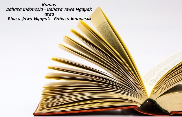 Detail Gambar Lucu Bahasa Ngapak Nomer 51