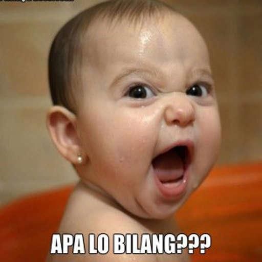 Detail Gambar Lucu Bilang Wow Nomer 14