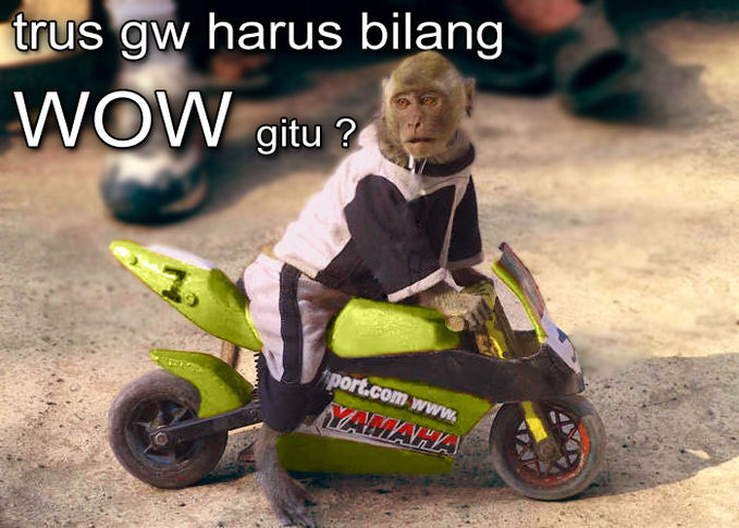 Detail Gambar Lucu Bilang Wow Nomer 23