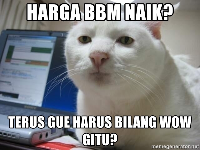 Detail Gambar Lucu Bilang Wow Nomer 38