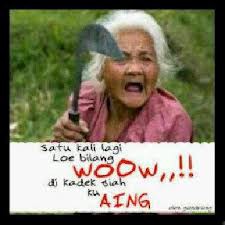 Detail Gambar Lucu Bilang Wow Nomer 48