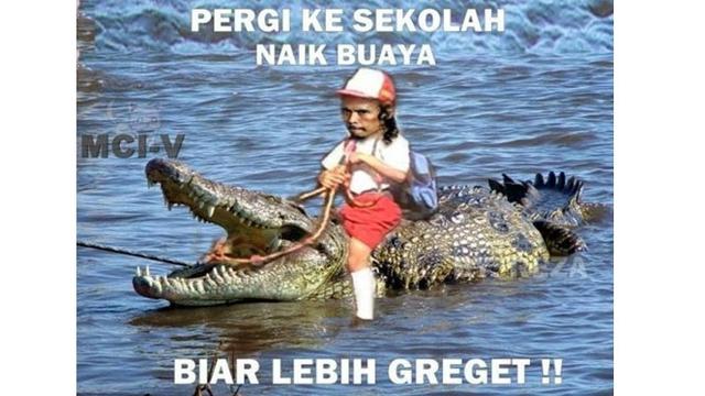 Download Gambar Lucu Buaya Nomer 3