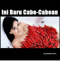 Detail Gambar Lucu Cabe Cabean Nomer 10