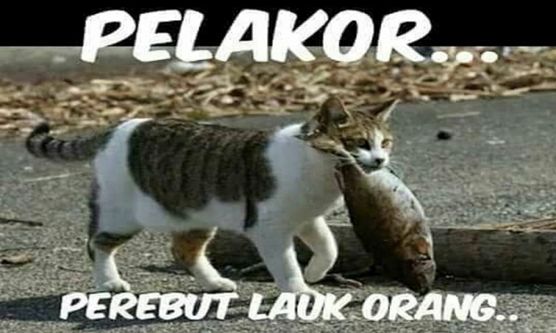 Detail Gambar Lucu Dengan Kata Kata Nomer 26