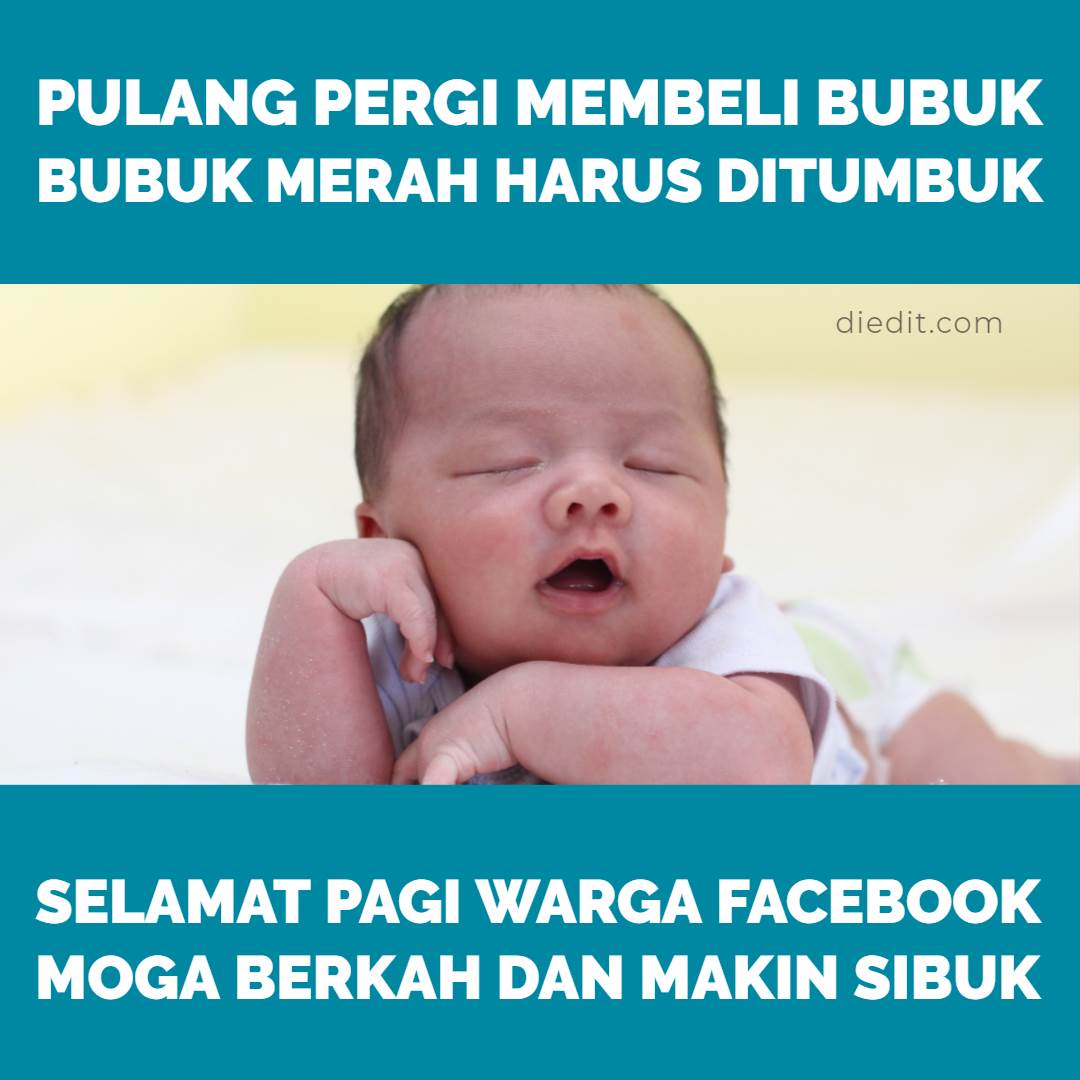 Detail Gambar Lucu Di Pagi Hari Nomer 20