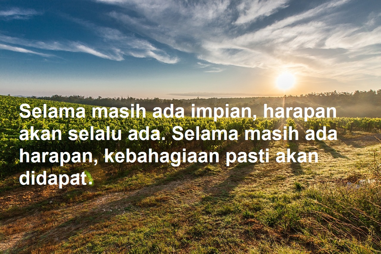 Detail Gambar Lucu Di Pagi Hari Nomer 22