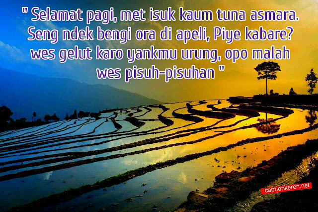 Detail Gambar Lucu Di Pagi Hari Nomer 25