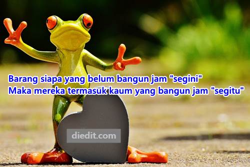 Detail Gambar Lucu Di Pagi Hari Nomer 27