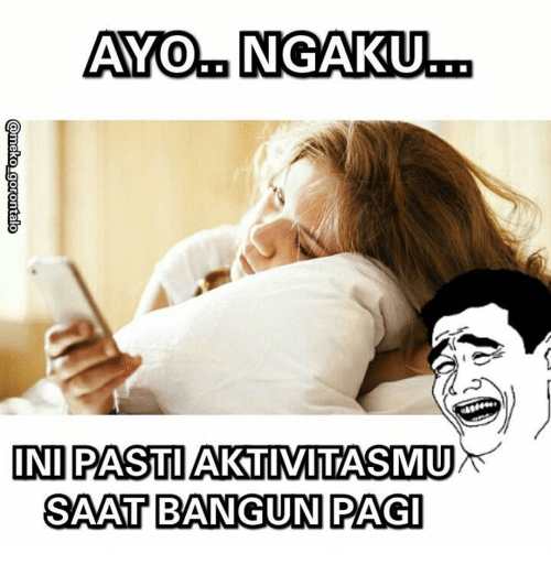Detail Gambar Lucu Di Pagi Hari Nomer 36