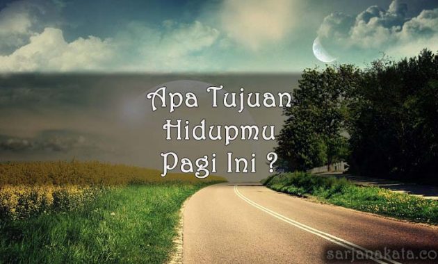 Detail Gambar Lucu Di Pagi Hari Nomer 41