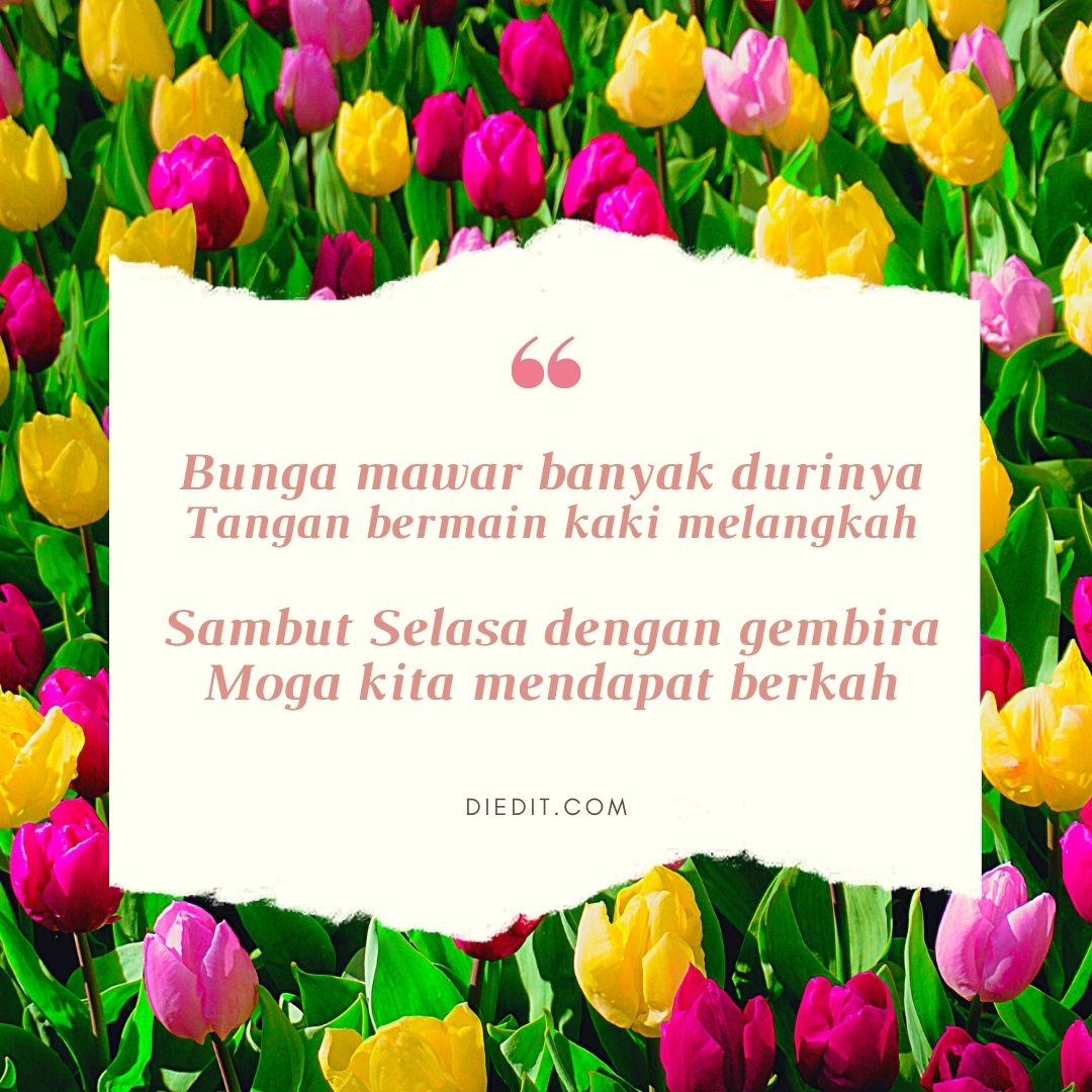 Detail Gambar Lucu Di Pagi Hari Nomer 47