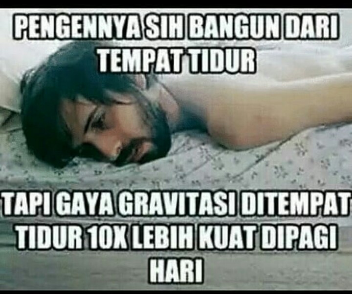 Detail Gambar Lucu Di Pagi Hari Nomer 48