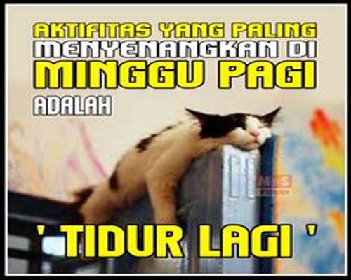 Detail Gambar Lucu Di Pagi Hari Nomer 51