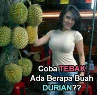 Detail Gambar Lucu Durian Nomer 14