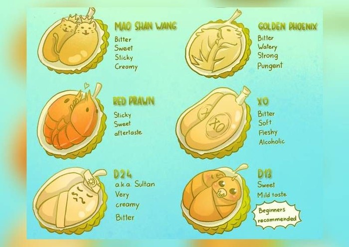 Detail Gambar Lucu Durian Nomer 27