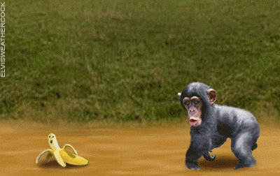 Detail Gambar Lucu Gif Bergerak Nomer 15