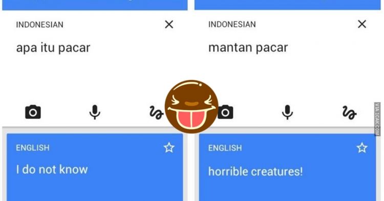 Detail Gambar Lucu Google Nomer 12