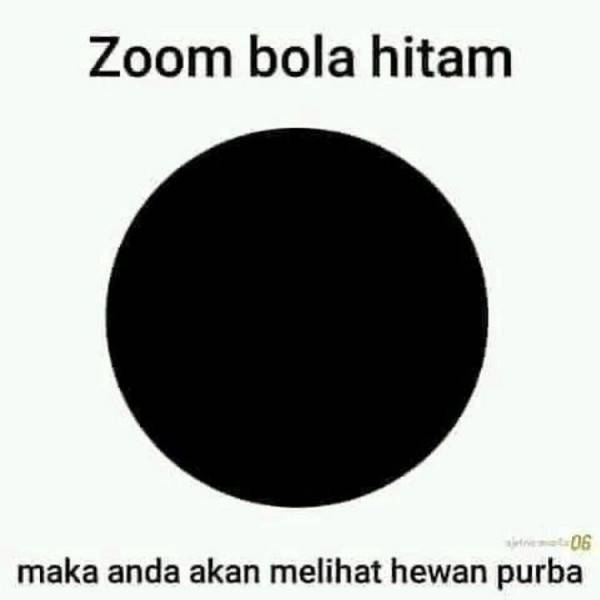 Detail Gambar Lucu Jangan Di Zoom Nomer 10