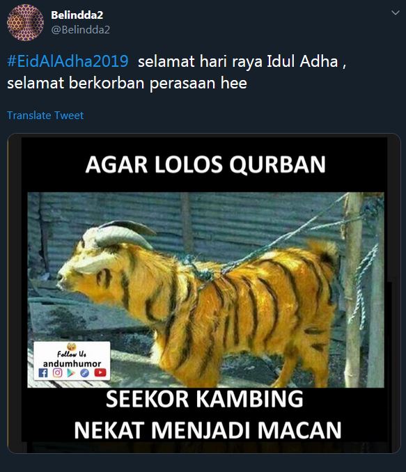 Detail Gambar Lucu Kurban Idul Adha Nomer 26