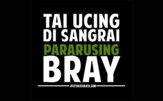 Detail Gambar Lucu Lagi Pusing Nomer 50