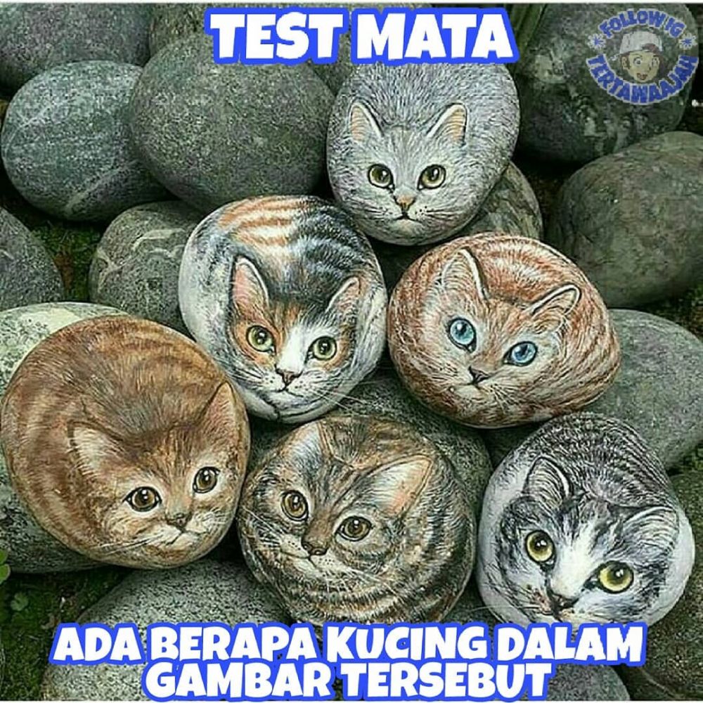 Gambar Lucu Menipu Mata - KibrisPDR