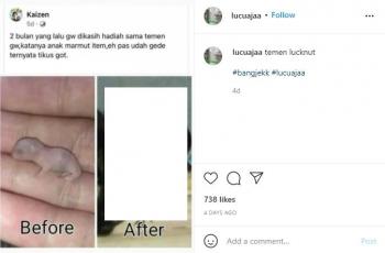 Detail Gambar Lucu Menjijikan Nomer 53