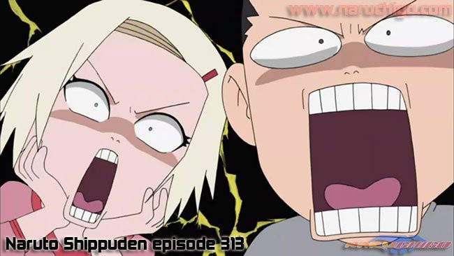 Detail Gambar Lucu Naruto Shippuden Nomer 42