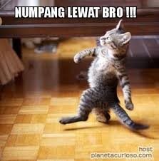 Detail Gambar Lucu Numpang Lewat Nomer 15