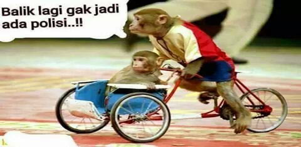 Detail Gambar Lucu Numpang Lewat Nomer 33