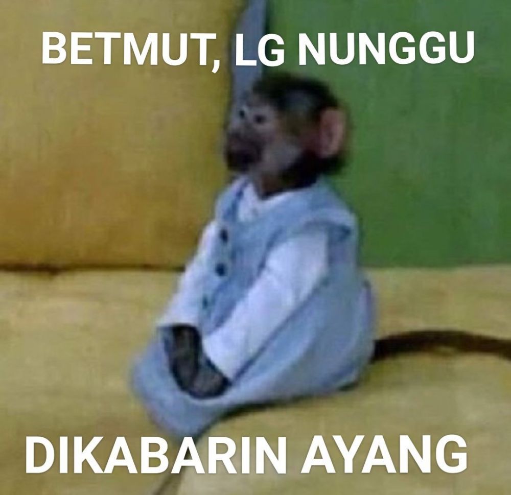 Detail Gambar Lucu Numpang Lewat Nomer 49