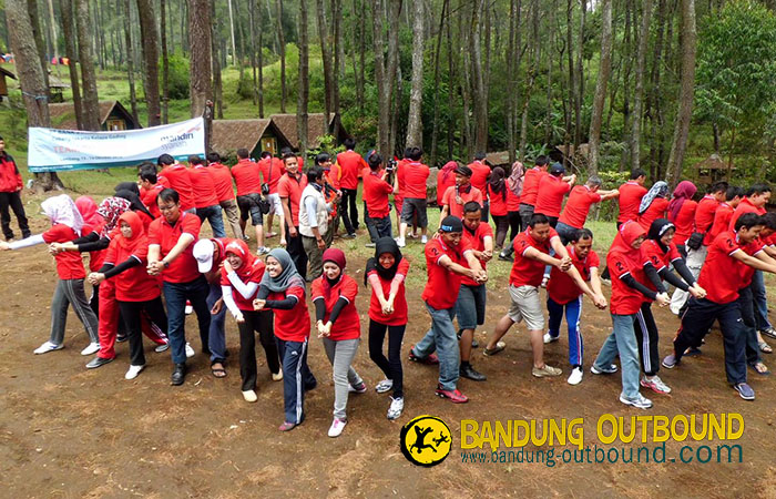 Detail Gambar Lucu Outbound Nomer 22