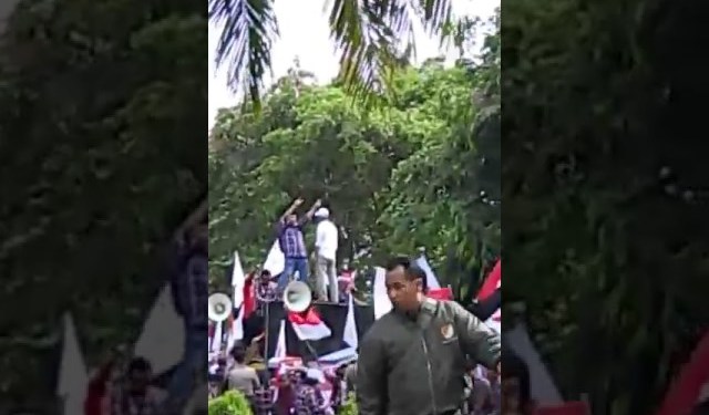 Detail Gambar Lucu Pendukung Ahok Nomer 12