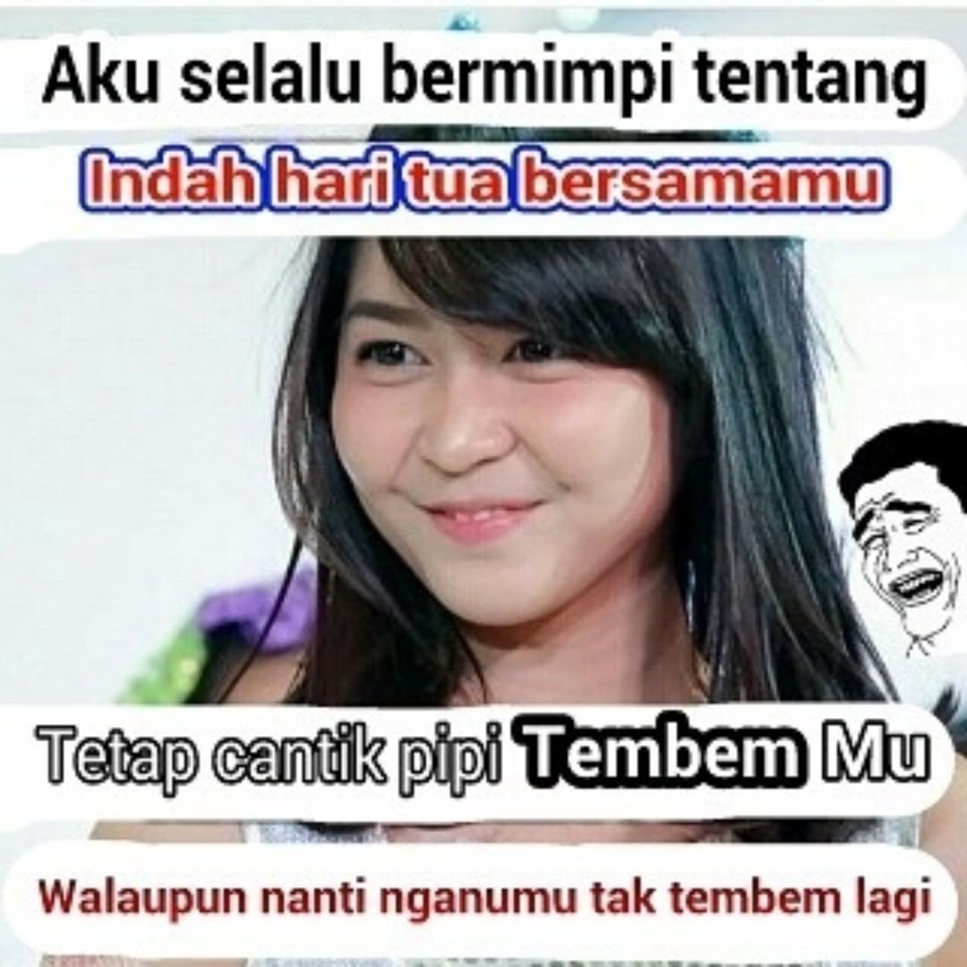Detail Gambar Lucu Pipi Tembem Nomer 26