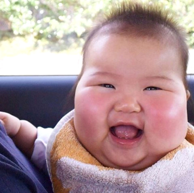 Detail Gambar Lucu Pipi Tembem Nomer 42